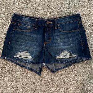 NWT Jessica Simpson Distressed Fray Denim Shorts